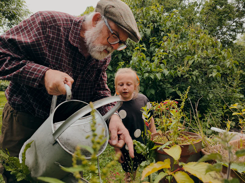 Senior woman wearing gardening gloves tending to plants in her garden